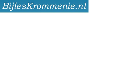 Bijles Krommenie